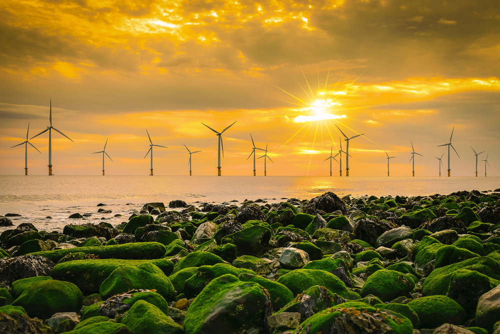 Offshore Windfarm With Sunset Landscape