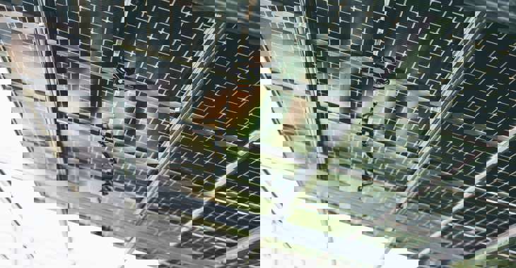 Pexels Markus Spiske 14384697