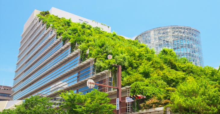 Building with green living roof