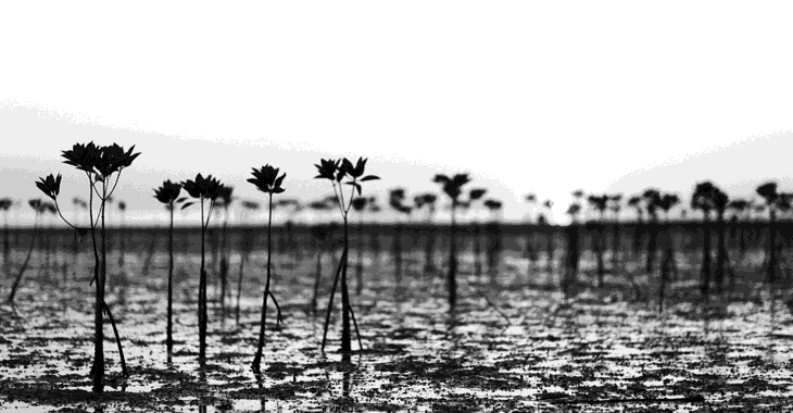 Microsoftteams Image (7)