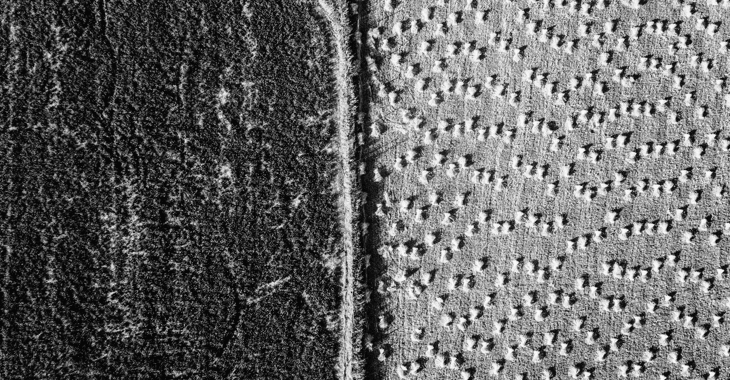 Microsoftteams Image (8)